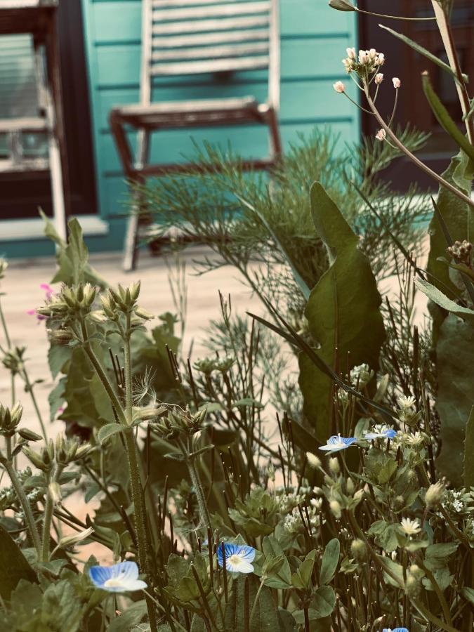 Tinylodge Am Ellertshaeuser See Stadtlauringen エクステリア 写真